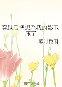 穿越后把想杀我的影卫压了