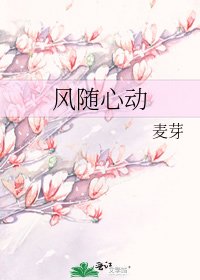 风随心动