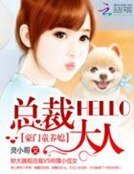 豪門童養媳：hello，總裁大人