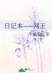 日记本——网王