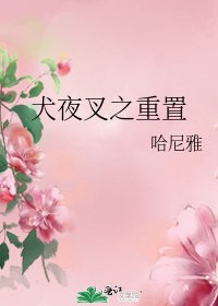 （犬夜叉同人）犬夜叉之重置